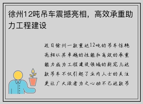 徐州12吨吊车震撼亮相，高效承重助力工程建设