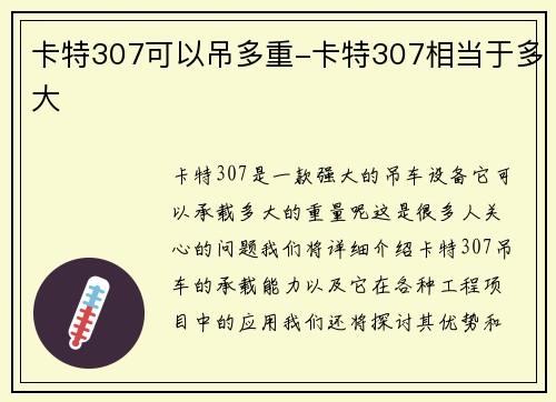 卡特307可以吊多重-卡特307相当于多大