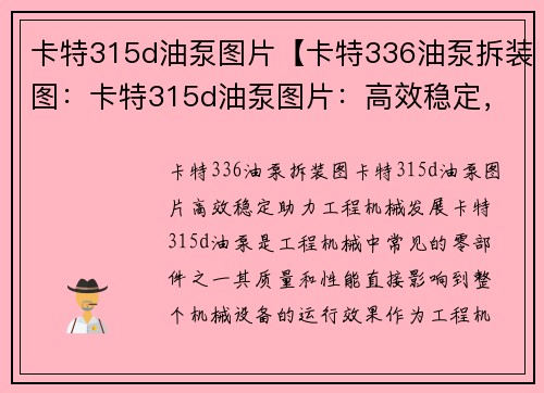 卡特315d油泵图片【卡特336油泵拆装图：卡特315d油泵图片：高效稳定，助力工程机械发展】