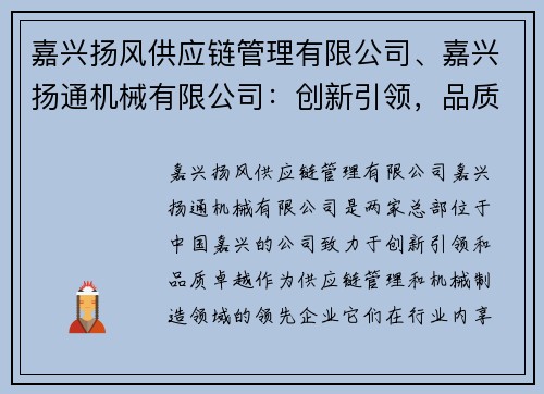 嘉兴扬风供应链管理有限公司、嘉兴扬通机械有限公司：创新引领，品质卓越